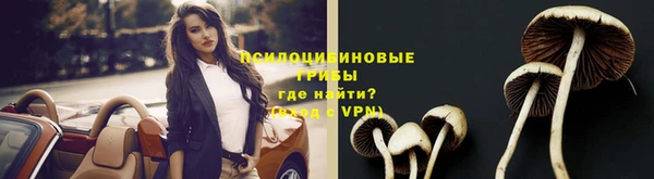 трава Чита